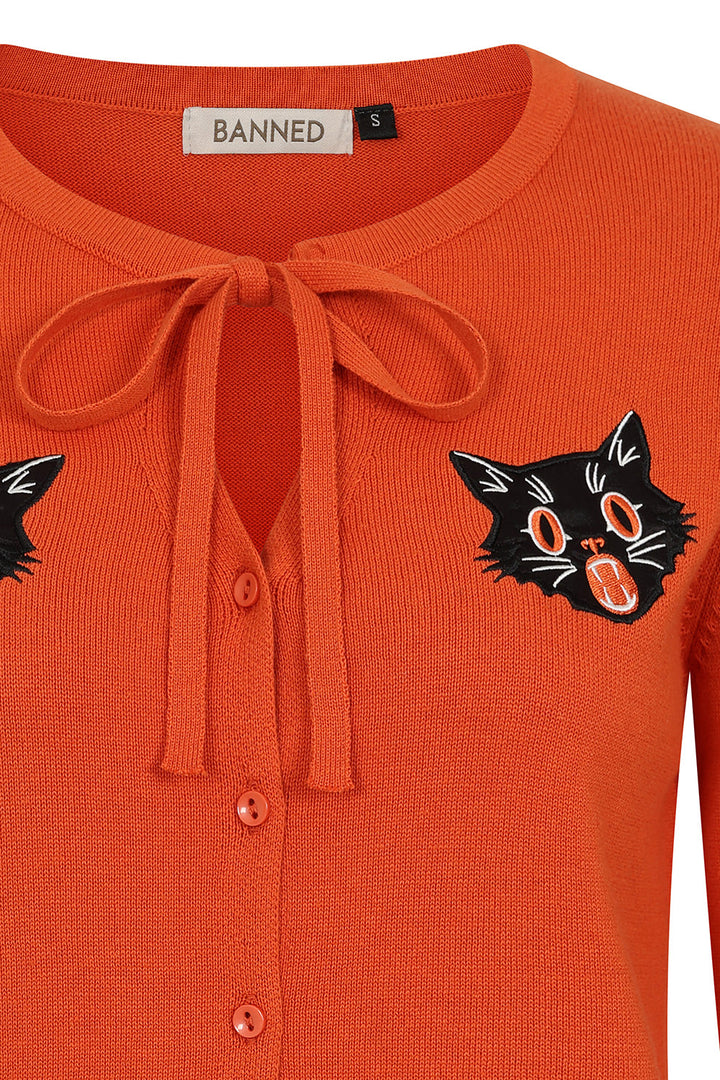 scared cat cardigan